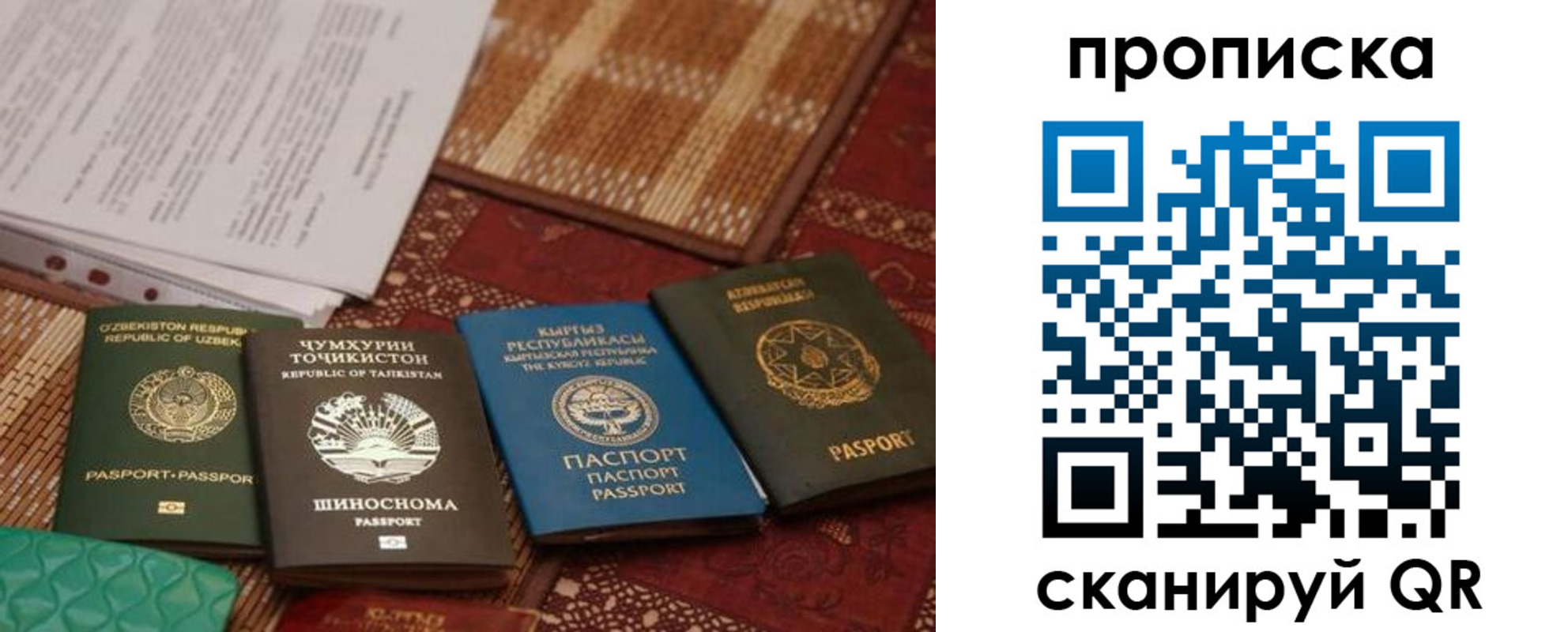 прописка 2025 в Ногинске